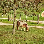 Meadow Hideaway With Terrace - One Bedroom With Terrace Holiday home *