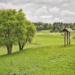 Meadow Hideaway With Terrace - One Bedroom With Terrace *