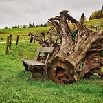 Holiday home Meadow Hideaway With Terrace - One Bedroom With Terrace