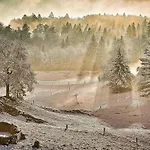 Meadow Hideaway With Terrace - One Bedroom With Terrace Holiday home Visnja Gora