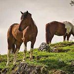 Holiday home Meadow Hideaway With Terrace - One Bedroom With Terrace *