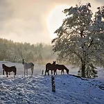 Holiday home Meadow Hideaway With Terrace - One Bedroom With Terrace