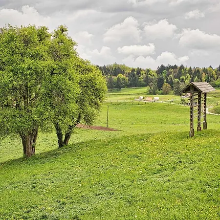Meadow Hideaway With Terrace - One Bedroom With Terrace *
