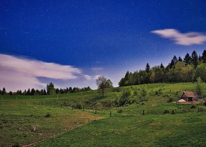 Visnja Gora Meadow Hideaway With Terrace - One Bedroom With Terrace *