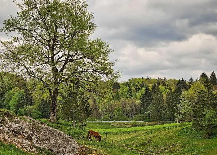 Vikendica Visnja Gora Meadow Hideaway With Terrace - One Bedroom With Terrace Visnja Gora