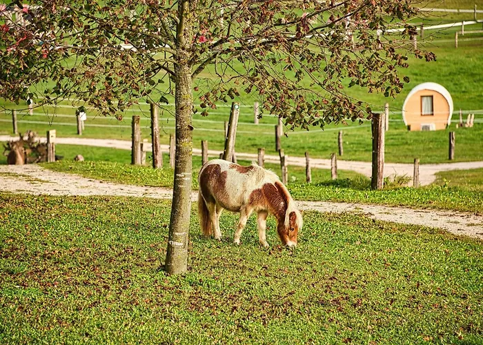 Visnja Gora Meadow Hideaway With Terrace - One Bedroom With Terrace Počitniška hiša *