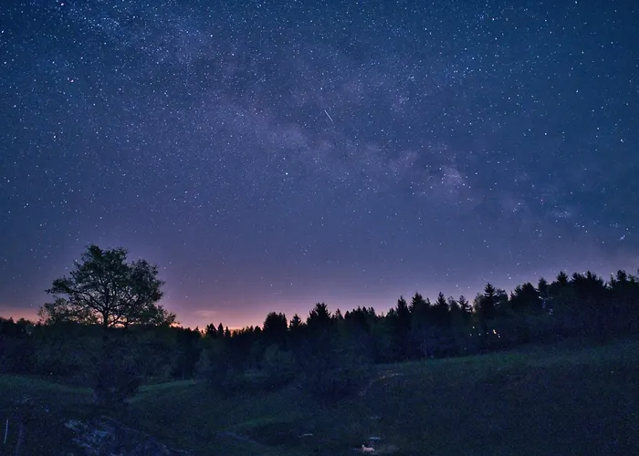 Visnja Gora Meadow Hideaway With Terrace - One Bedroom With Terrace *