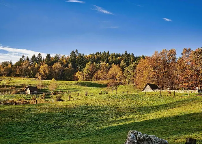 Visnja Gora Meadow Hideaway With Terrace - One Bedroom With Terrace Visnja Gora