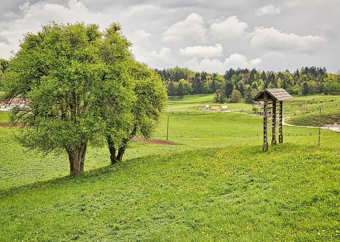 Visnja Gora Meadow Hideaway With Terrace - One Bedroom With Terrace *