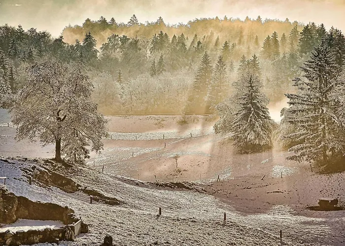 Visnja Gora Meadow Hideaway With Terrace - One Bedroom With Terrace Vikendica Visnja Gora