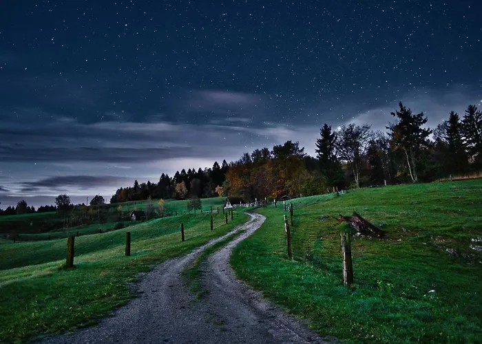 Visnja Gora Meadow Hideaway With Terrace - One Bedroom With Terrace