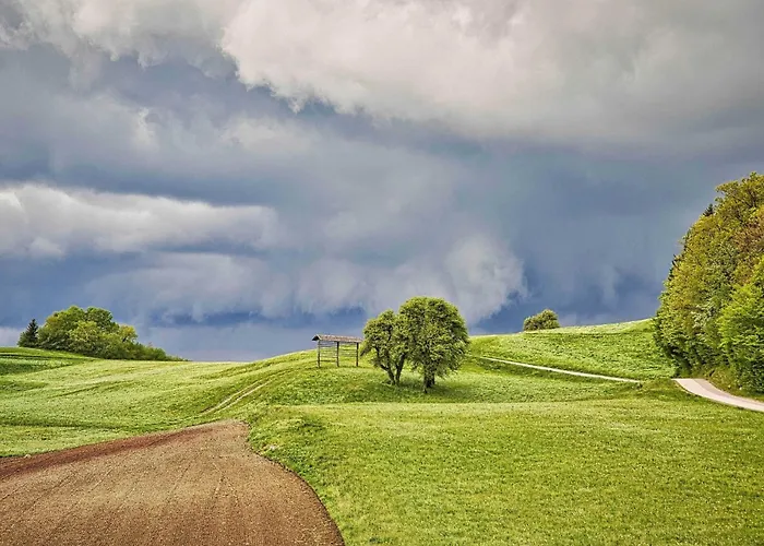 Visnja Gora Meadow Hideaway With Terrace - One Bedroom With Terrace