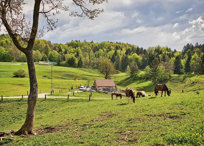 Počitniška hiša Visnja Gora Meadow Hideaway With Terrace - One Bedroom With Terrace Visnja Gora
