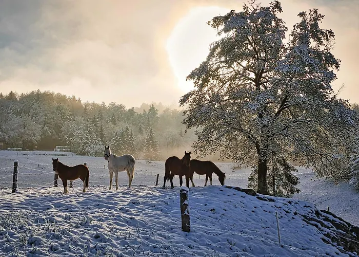 Počitniška hiša Visnja Gora Meadow Hideaway With Terrace - One Bedroom With Terrace