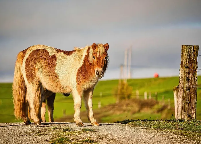 Visnja Gora Meadow Hideaway With Terrace - One Bedroom With Terrace